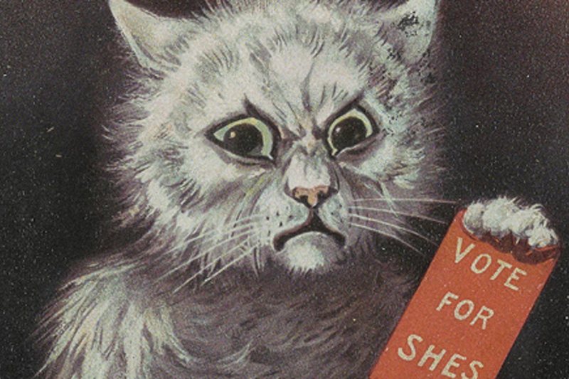 Postcard: The Suffragette Down with the Tom Cats