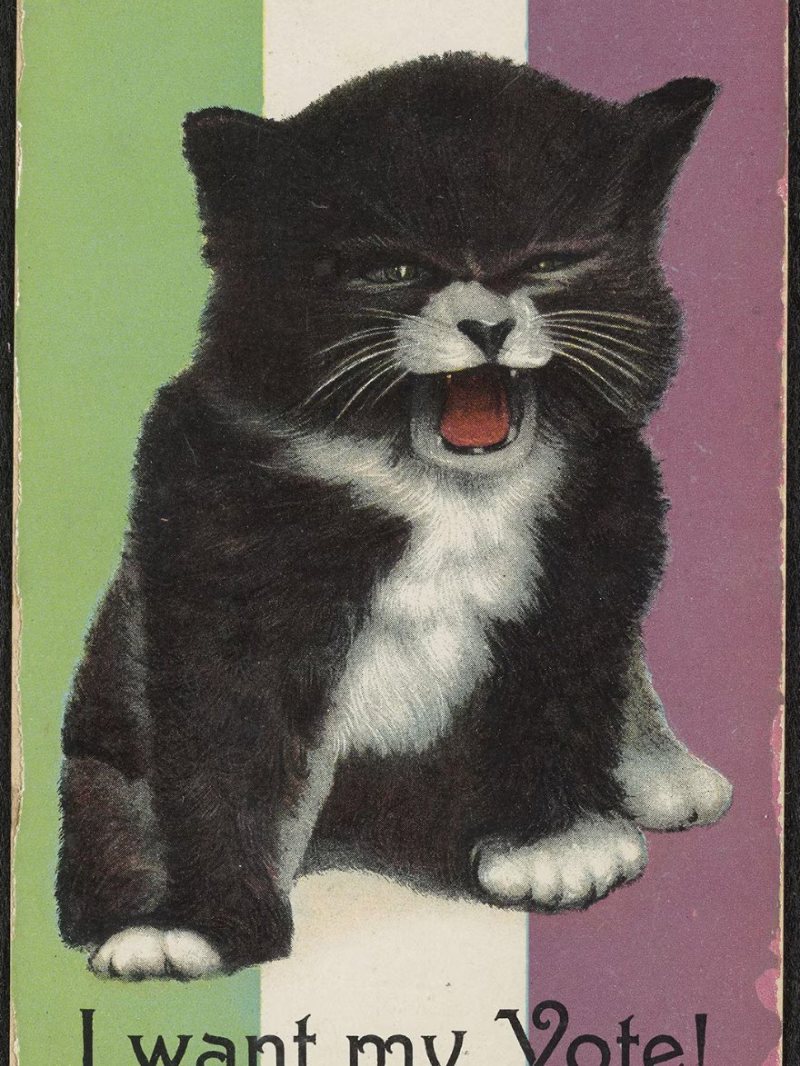 Postcard: I Want My Vote!