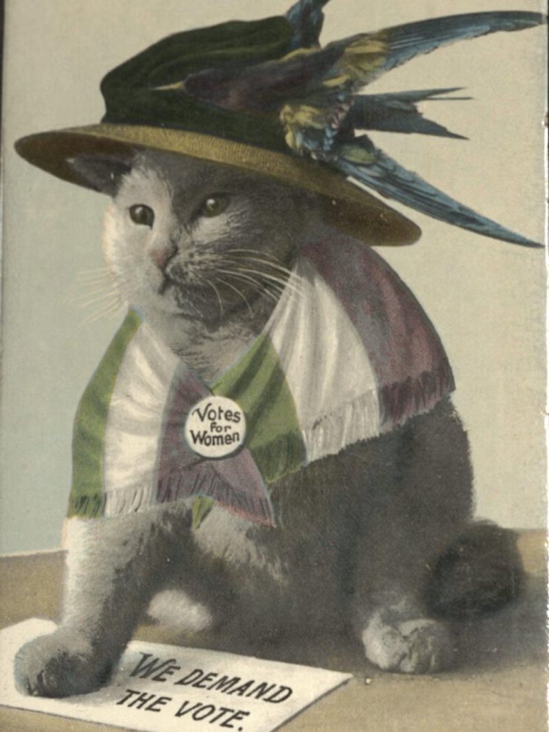 Postcard: We Demand the Vote